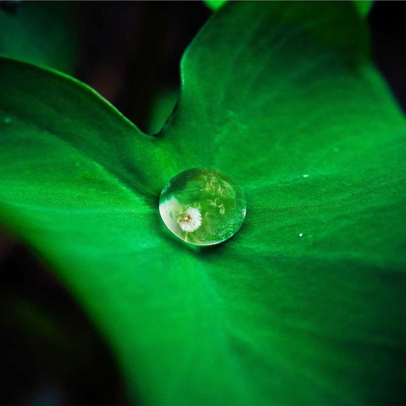होली - Hindi Poetry and Quotes