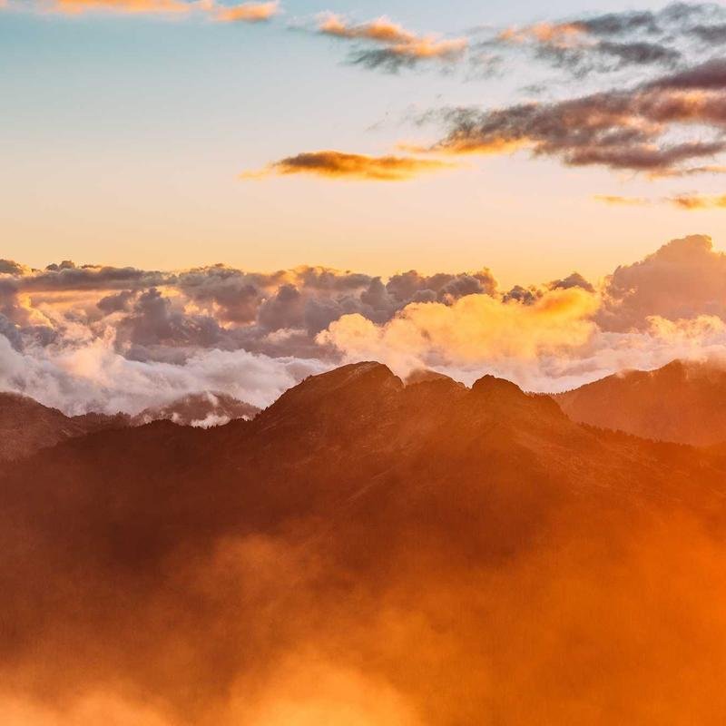 जहालत, बेहुनरी के बाज़ार में, ऐसा हो नहीं सकता था - Hindi Poetry and Quotes